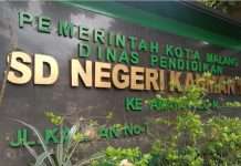 Hasil Uji Lab Ungkap Bakteri E. coli pada Menu Telur MBG, 35 Siswa SD di Malang Terdampak