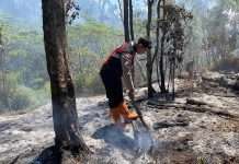 Jalur Pendakian Gunung Buthak Ditutup Sementara Lantaran Kebakaran Hutan