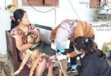 Lindungi Warga dari Rabies, Disnakkeswan Kabupaten Malang Gelar Vaksinasi Gratis di Peniwen